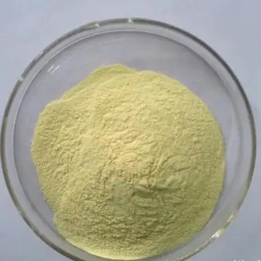 Xanthan Gum